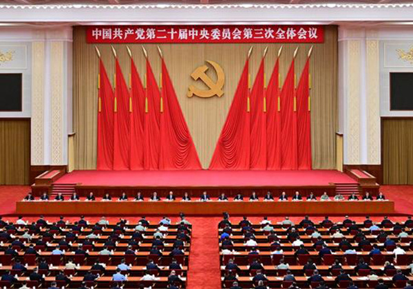 学习贯彻党的二十届三…