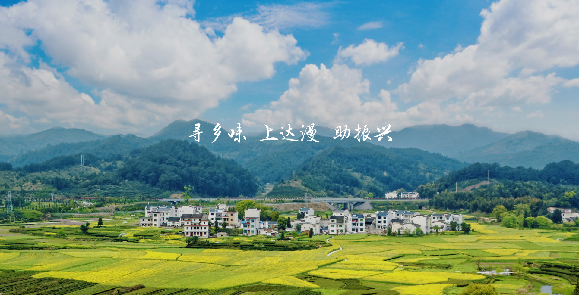 达漫电商-背景图