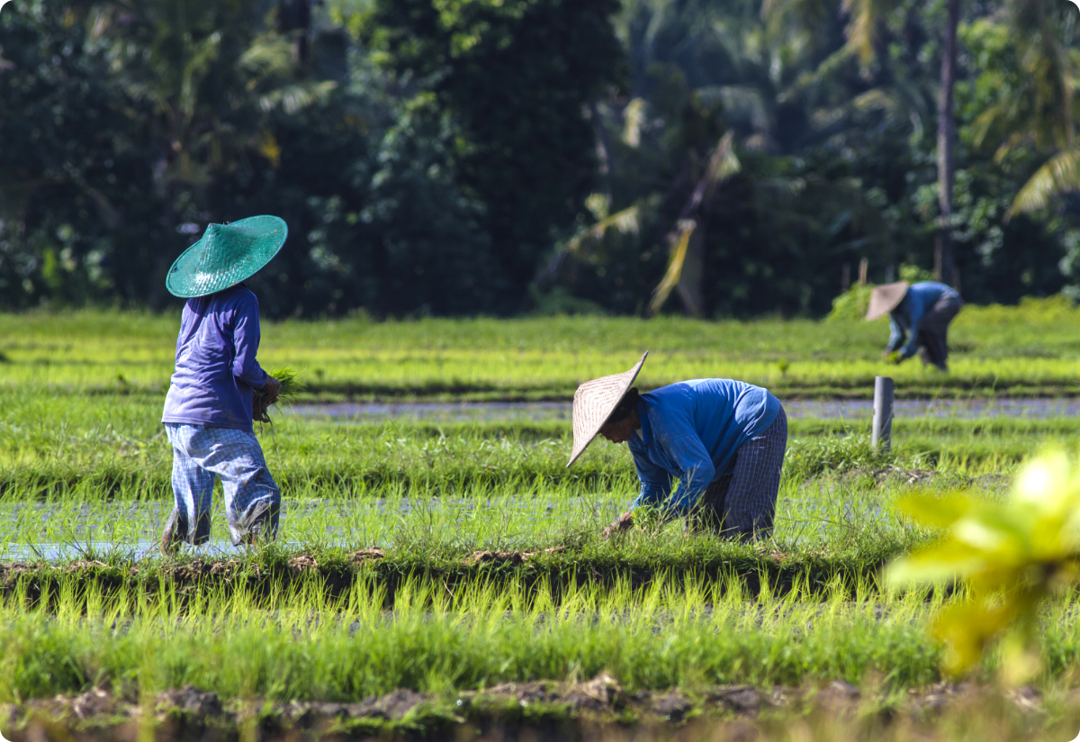 达漫电商-消费帮扶